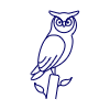 Owl Illustration from UX Line Set
