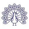 Peacock Illustration from UX Line Set