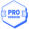 Pro Version Hexagon Flag Element from Vector Badges Set