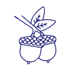 Oaknuts Illustration from UX Line Set