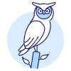 Owl Illustration from UX Duotone Set