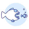 Big Small Fish illustration - Free transparent PNG, SVG. No sign up needed.