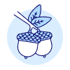 Oaknuts Illustration from UX Duotone Set