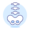 Spine Illustration from UX Duotone Set