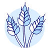 Wheat illustration - Free transparent PNG, SVG. No sign up needed.