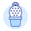 Cactus illustration - Free transparent PNG, SVG. No sign up needed.