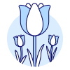 Tulip illustration - Free transparent PNG, SVG. No sign up needed.