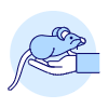 White Mouse 1 illustration - Free transparent PNG, SVG. No sign up needed.