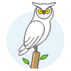 Owl Illustration from UX Colors Set