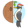 Woodpecker Illustration from UX Colors Set