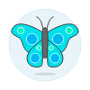 Butterfly illustration - Free transparent PNG, SVG. No sign up needed.