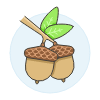 Oaknuts Illustration from UX Colors Set
