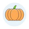 Pumpkin Illustration from UX Colors Set