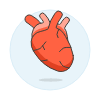 Heart illustration - Free transparent PNG, SVG. No sign up needed.