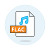 Format File Flac Illustration from UX Colors Set