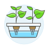 Hydroponic Box illustration - Free transparent PNG, SVG. No sign up needed.
