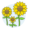 Sunflower illustration - Free transparent PNG, SVG. No sign up needed.