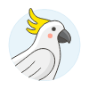 White Parrot illustration - Free transparent PNG, SVG. No sign up needed.
