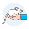 White Mouse 1 illustration - Free transparent PNG, SVG. No sign up needed.