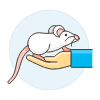 White Mouse 2 illustration - Free transparent PNG, SVG. No sign up needed.