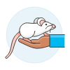 White Mouse 3 illustration - Free transparent PNG, SVG. No sign up needed.