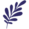 Nature Foliage Leaf 5 Element from Inked Shapes Set