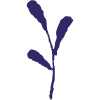 Nature Foliage Leaf 8 Element from Inked Shapes Set