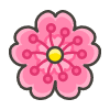 Cherry Blossom emoji - Free transparent PNG, SVG. No sign up needed.