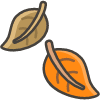 Fallen Leaf emoji - Free transparent PNG, SVG. No sign up needed.