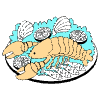 Seafood illustration - Free transparent PNG, SVG. No sign up needed.