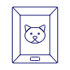 Cat Photo illustration - Free transparent PNG, SVG. No sign up needed.