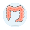 Intestine Illustration from UX Colors Set