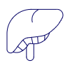 Liver Illustration from UX Line Set