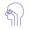 Sinuses 1 Illustration from UX Line Set