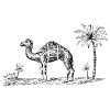 Camel element - Free transparent PNG, SVG. No sign up needed.