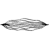 Highlight Line Underline Doodle 24 Element from Beveled Scribbles Set