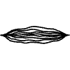 Highlight Underline Line 24 Element from Variable Scribbles Set