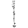 Vertical Ornament 1 Element from Art Nouveau Vectors Set