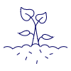 Growth Plant illustration - Free transparent PNG, SVG. No sign up needed.