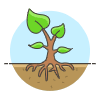 Tree Growth illustration - Free transparent PNG, SVG. No sign up needed.