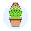Cactus illustration - Free transparent PNG, SVG. No sign up needed.