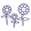 Sunflower illustration - Free transparent PNG, SVG. No sign up needed.