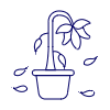 Dead Plant illustration - Free transparent PNG, SVG. No sign up needed.
