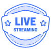 Live Streaming Star Shield Element from Vector Badges Set