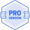 Pro Version Hexagon Flag Element from Vector Badges Set