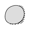 Chat Bubble Circle Small Plain Shadow Filled Element from Variable Scribbles Set
