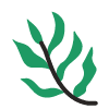 Leaf 6 Element from Fun Stickers Set