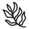 Leaf 6 Element from Fun Stickers Set