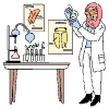 Biologist 5 Illustration from Bruxelles Set