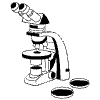 Microscope illustration - Free transparent PNG, SVG. No sign up needed.